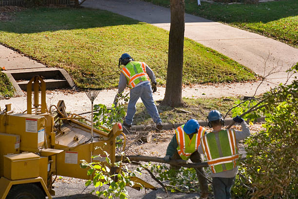 Mulching Services in Bradford Woods, PA